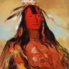 George Catlin Paint By Number