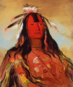 George Catlin Paint By Number