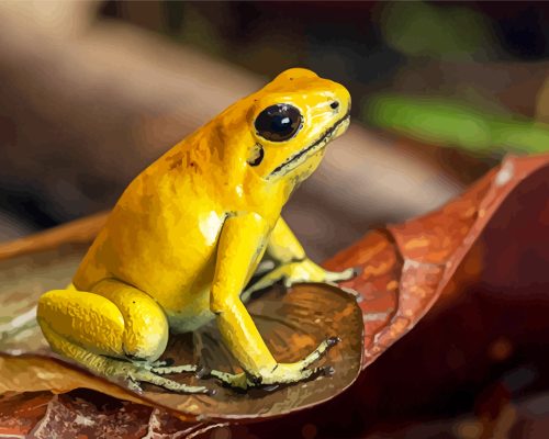 Golden Poison Dart Frog Paint By Number