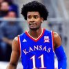 Josh Jackson Paint By Number