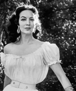 Monochrome Maria Felix Paint By Numbers