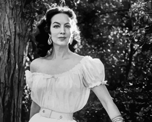 Monochrome Maria Felix Paint By Numbers