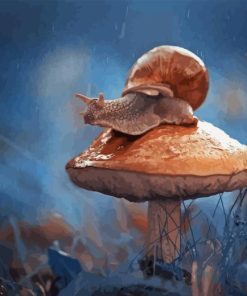 Mushroom And Snail Paint By Numbers