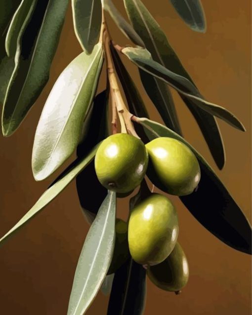 Olive Branch Paint By Number