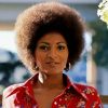 Pam Grier Paint By Numbers