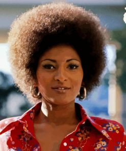 Pam Grier Paint By Numbers