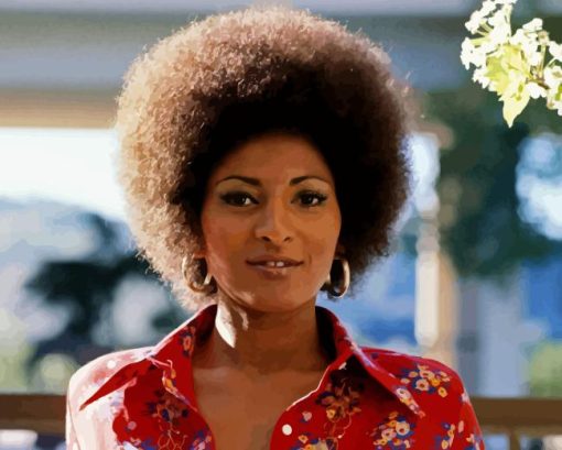 Pam Grier Paint By Numbers