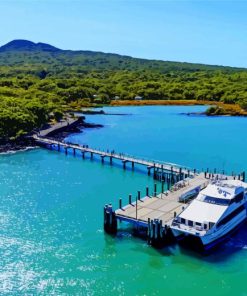 Rangitoto Island Paint By Numbers