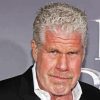 Ron Perlman Paint By Number