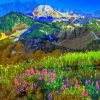 Springtime In Mountain Paint By Number