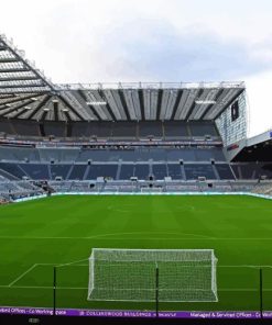 St James Park Stadium Paint By Numbers