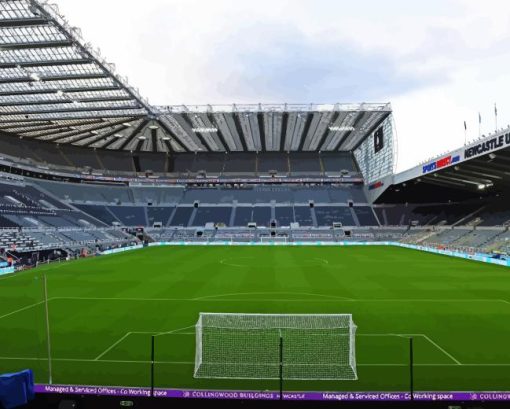 St James Park Stadium Paint By Numbers