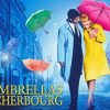 The Umbrellas Of Cherbourg Poster Paint By Number