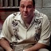 Tony Soprano Paint By Numbers