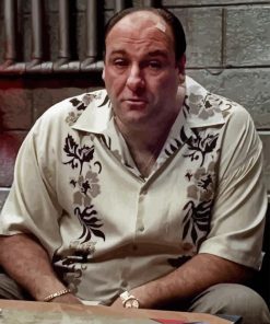 Tony Soprano Paint By Numbers