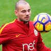 Wesley Sneijder Footballer Paint By Number