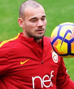 Wesley Sneijder Footballer Paint By Number