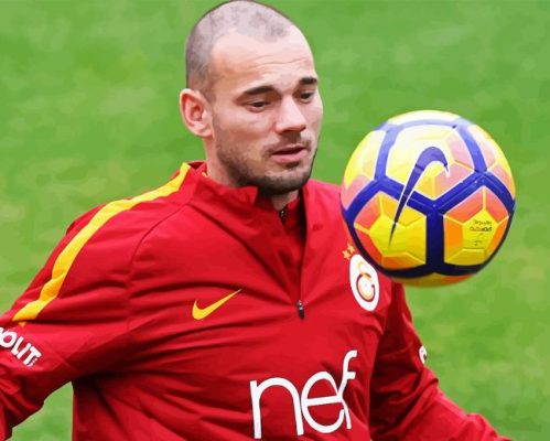 Wesley Sneijder Footballer Paint By Number