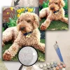 Custom Paint By Numbers Pets