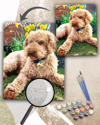 Custom Paint By Numbers Pets