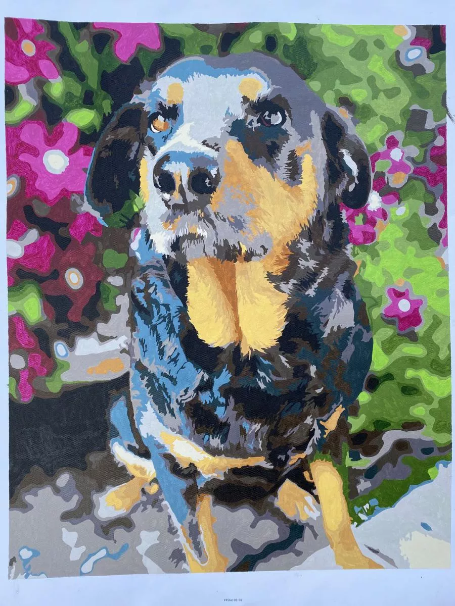 Custom Paint By Numbers Pets Review 1