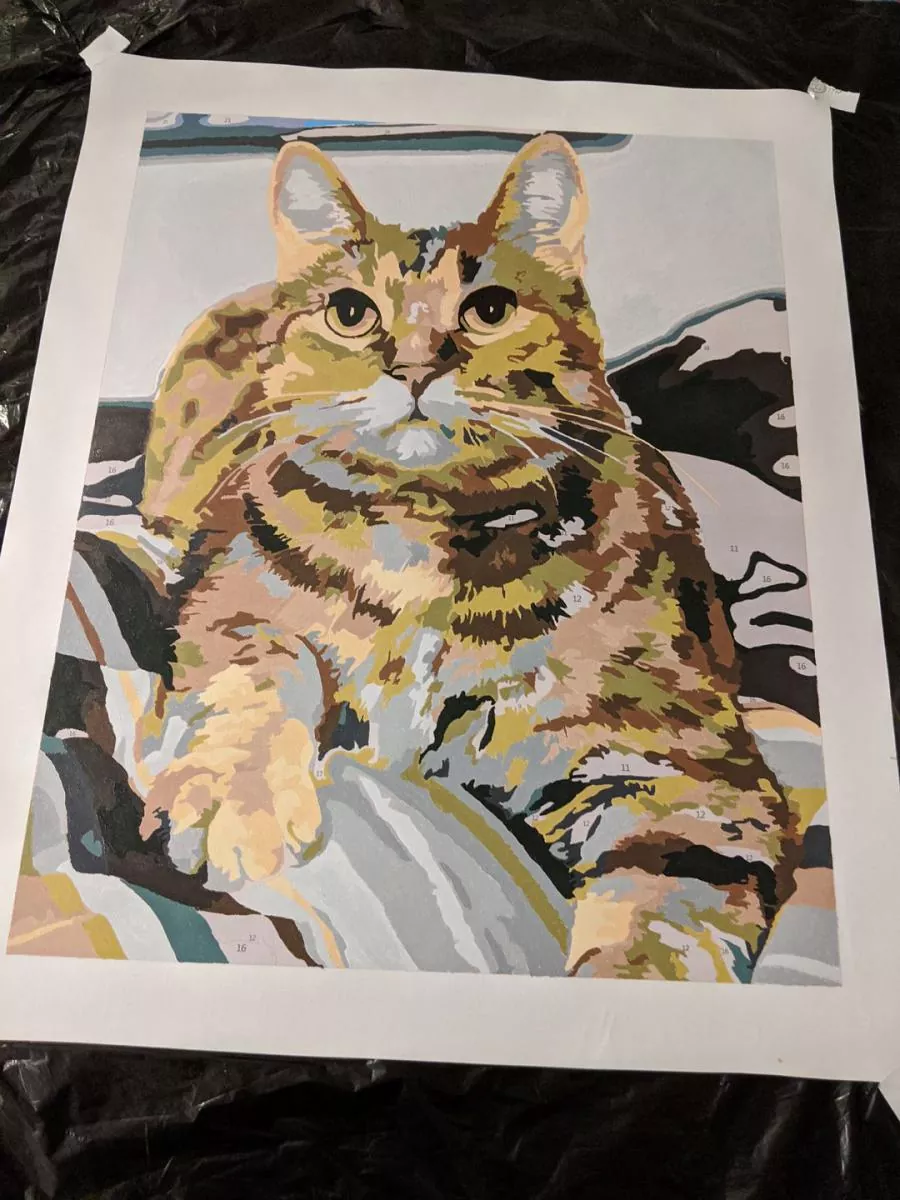 Custom Paint By Numbers Pets Review 2