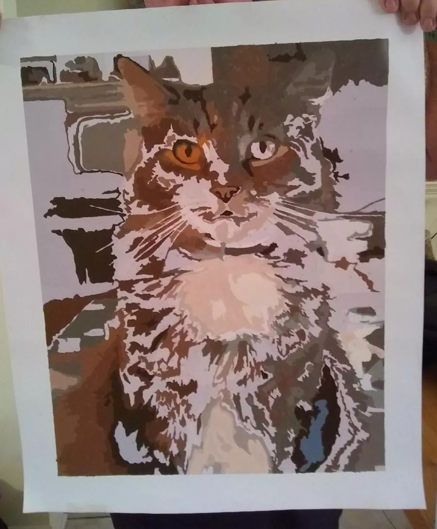 Custom Paint By Numbers Pets Review 4