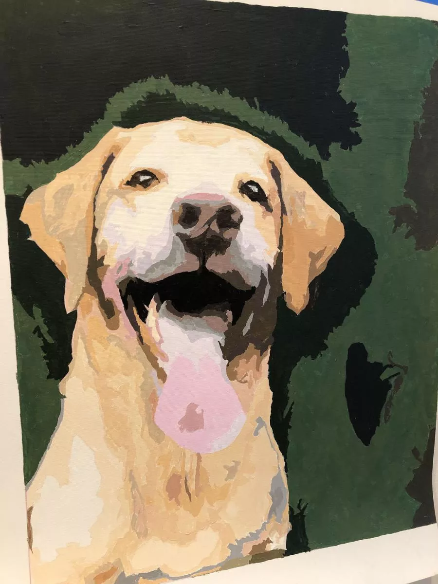 Custom Paint By Numbers Pets Review 5