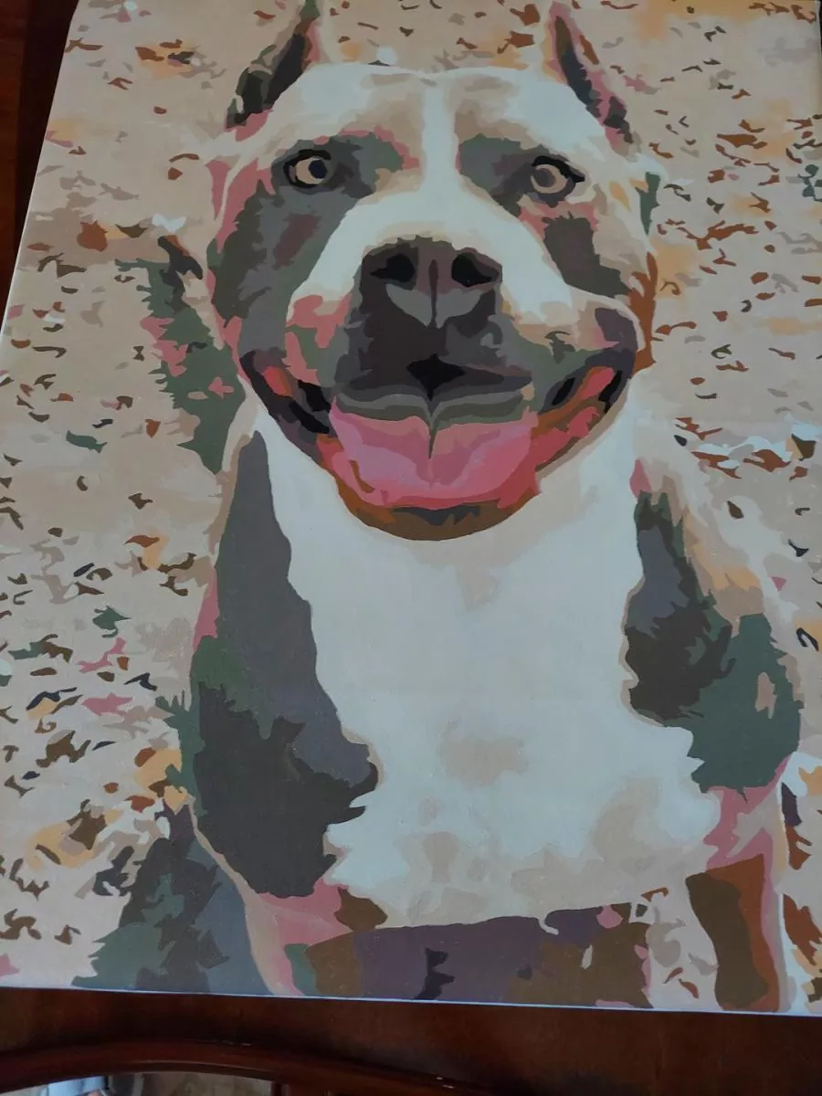 Custom Paint By Numbers Pets Review 6