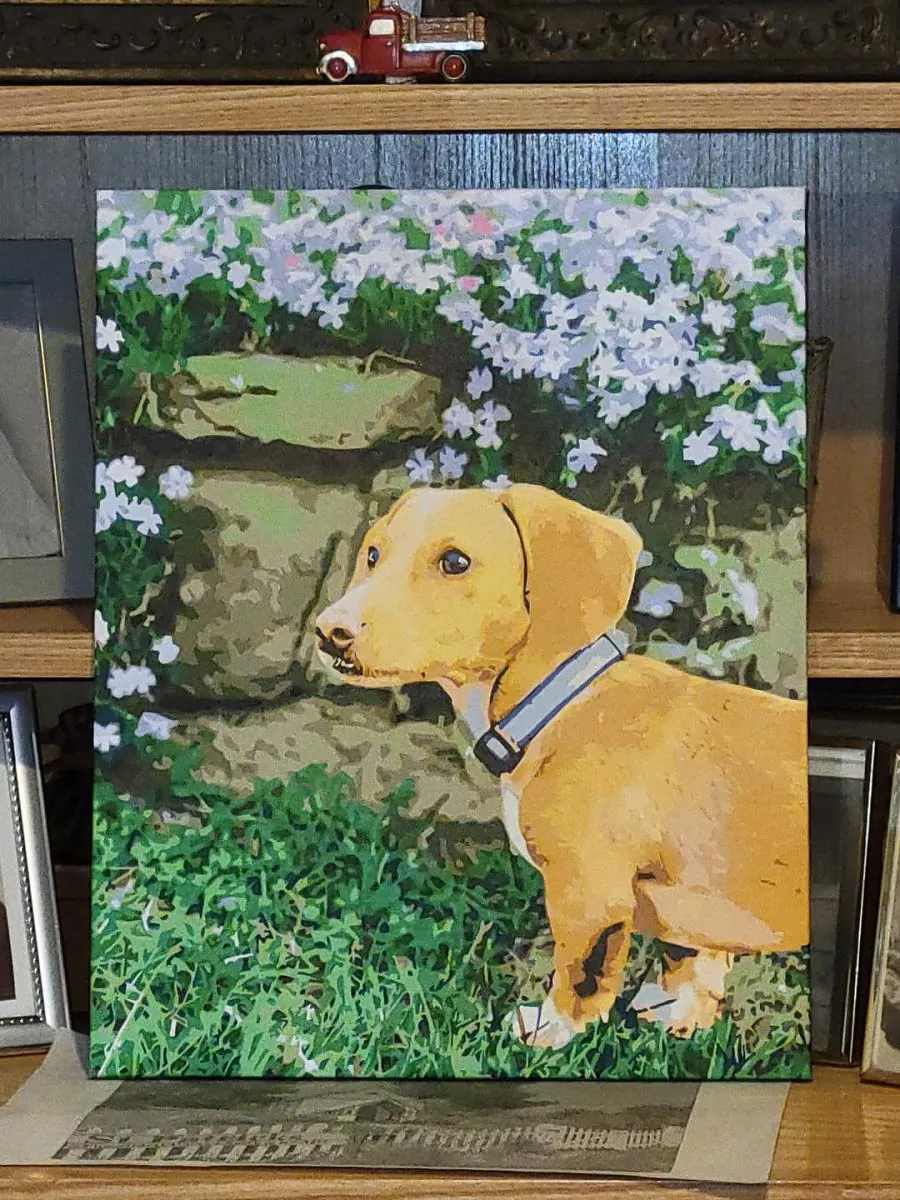 Custom Paint By Numbers Pets Review 7
