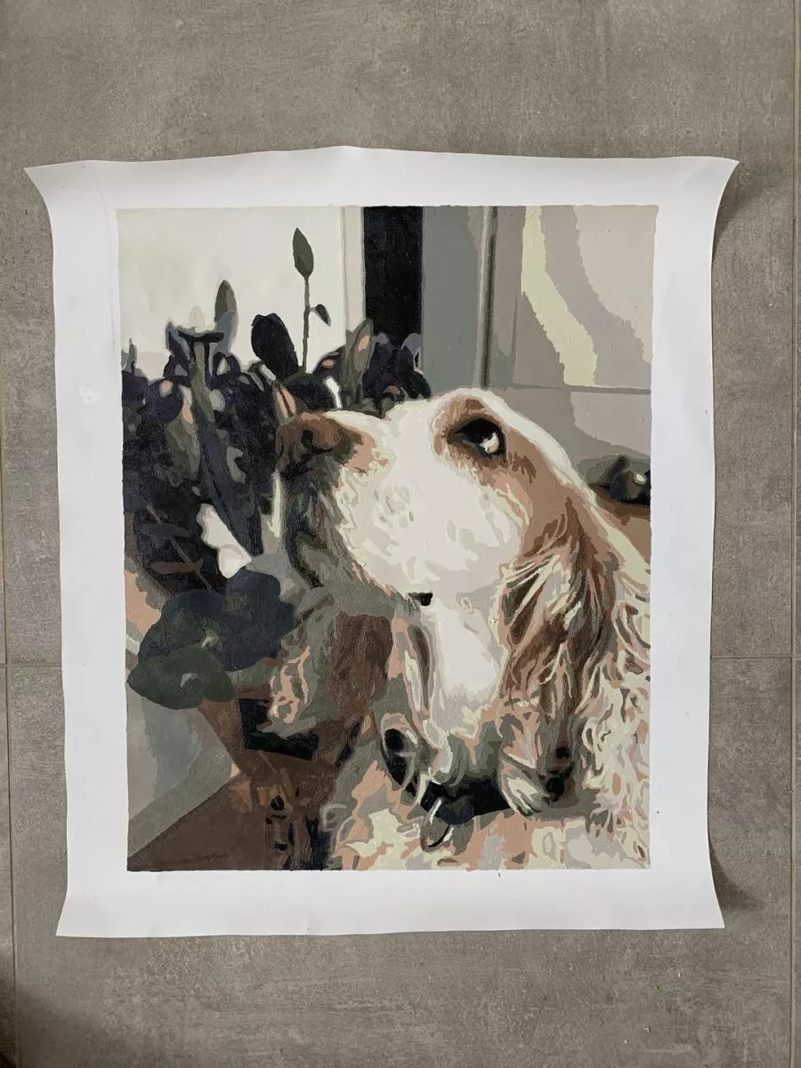 Custom Paint By Numbers Pets Review 8